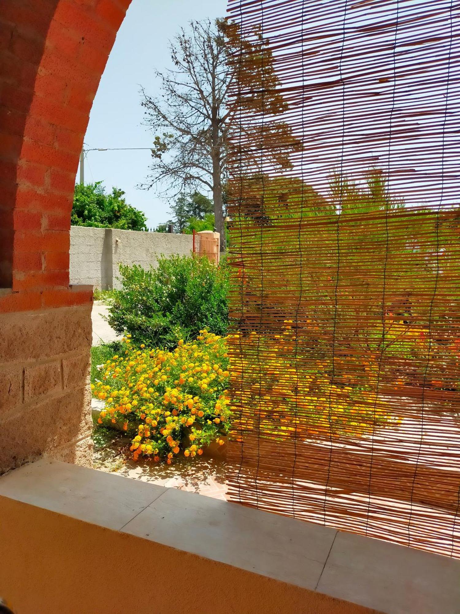 Casa Marina Lu Tuvaraggiu Casa Vacanze ソルソ エクステリア 写真