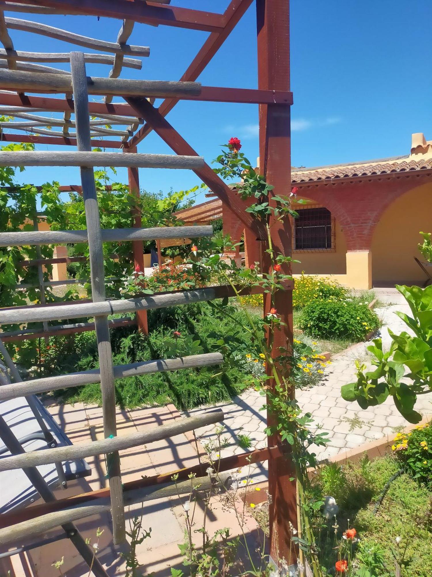Casa Marina Lu Tuvaraggiu Casa Vacanze ソルソ エクステリア 写真